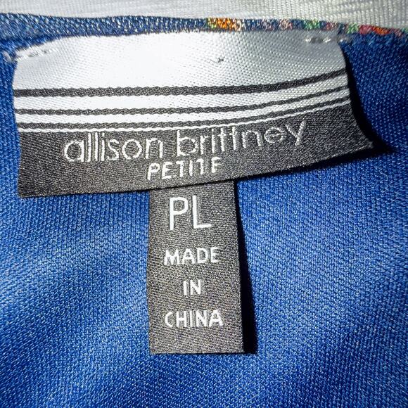 Allison Brittney Blue Paisley Bell Sleeve Chiffon Dress PL Petite Lined - Picture 5 of 8